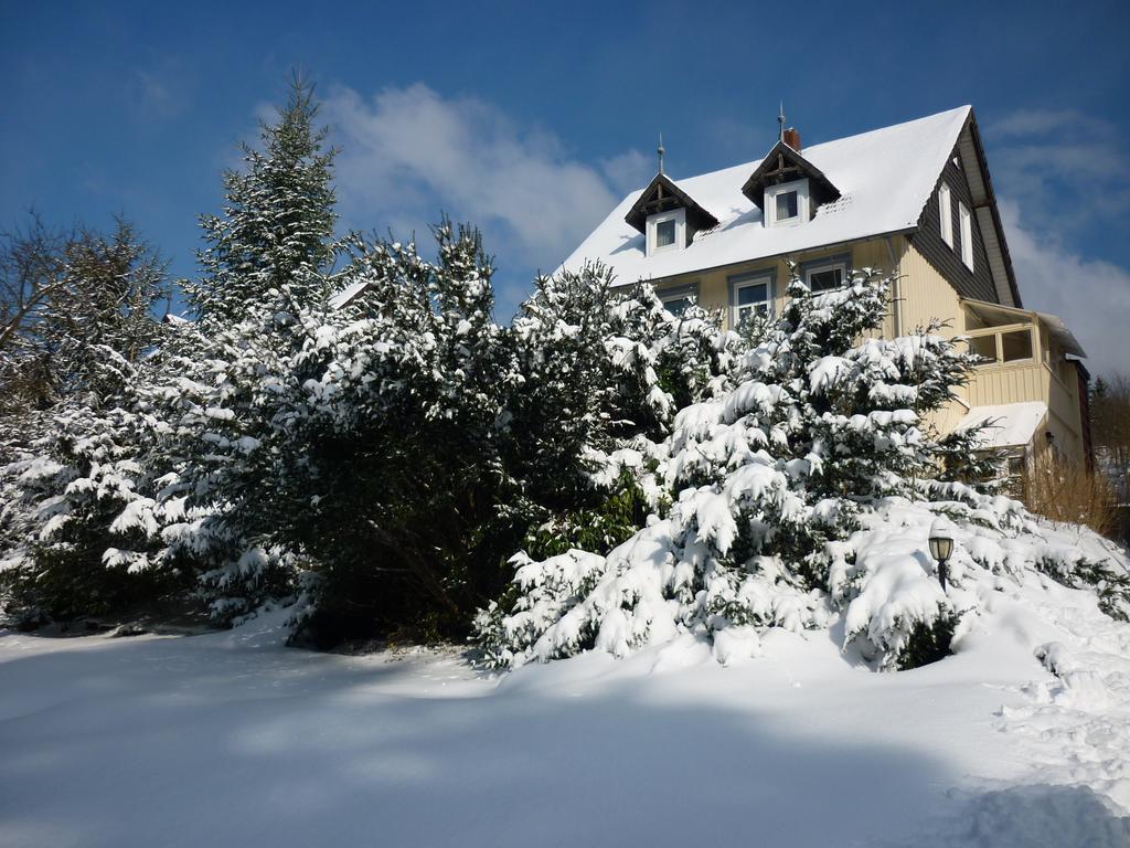 Pension Haus Martha Bad Grund Zewnętrze zdjęcie