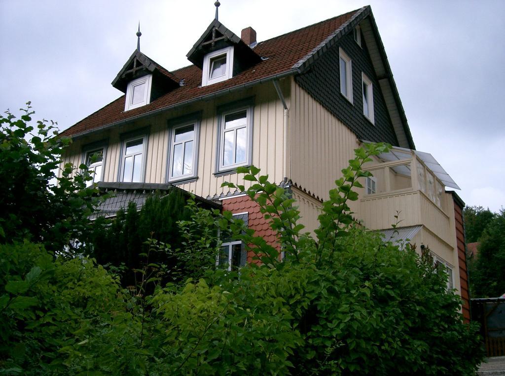 Pension Haus Martha Bad Grund Zewnętrze zdjęcie