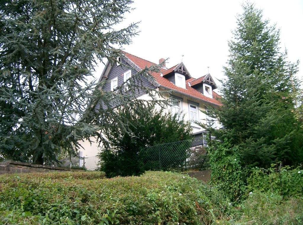 Pension Haus Martha Bad Grund Zewnętrze zdjęcie